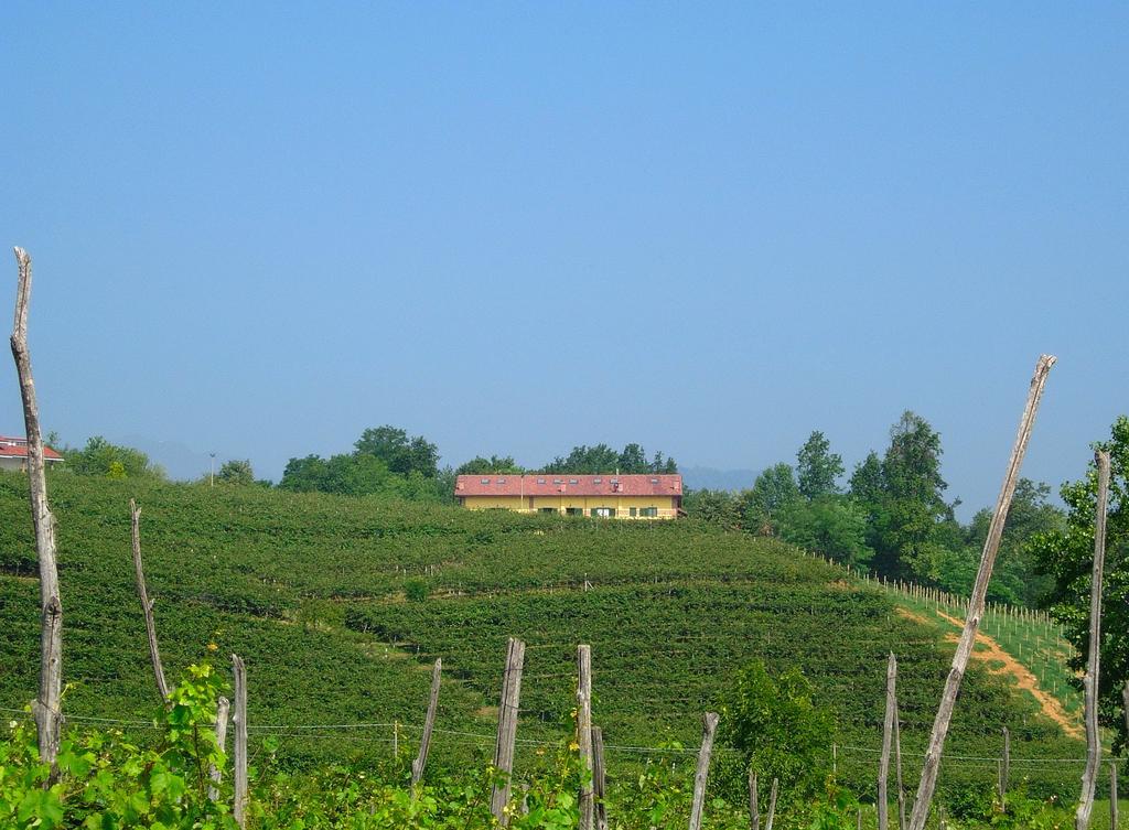 Agriturismo Turina Bricherasio Eksteriør bilde