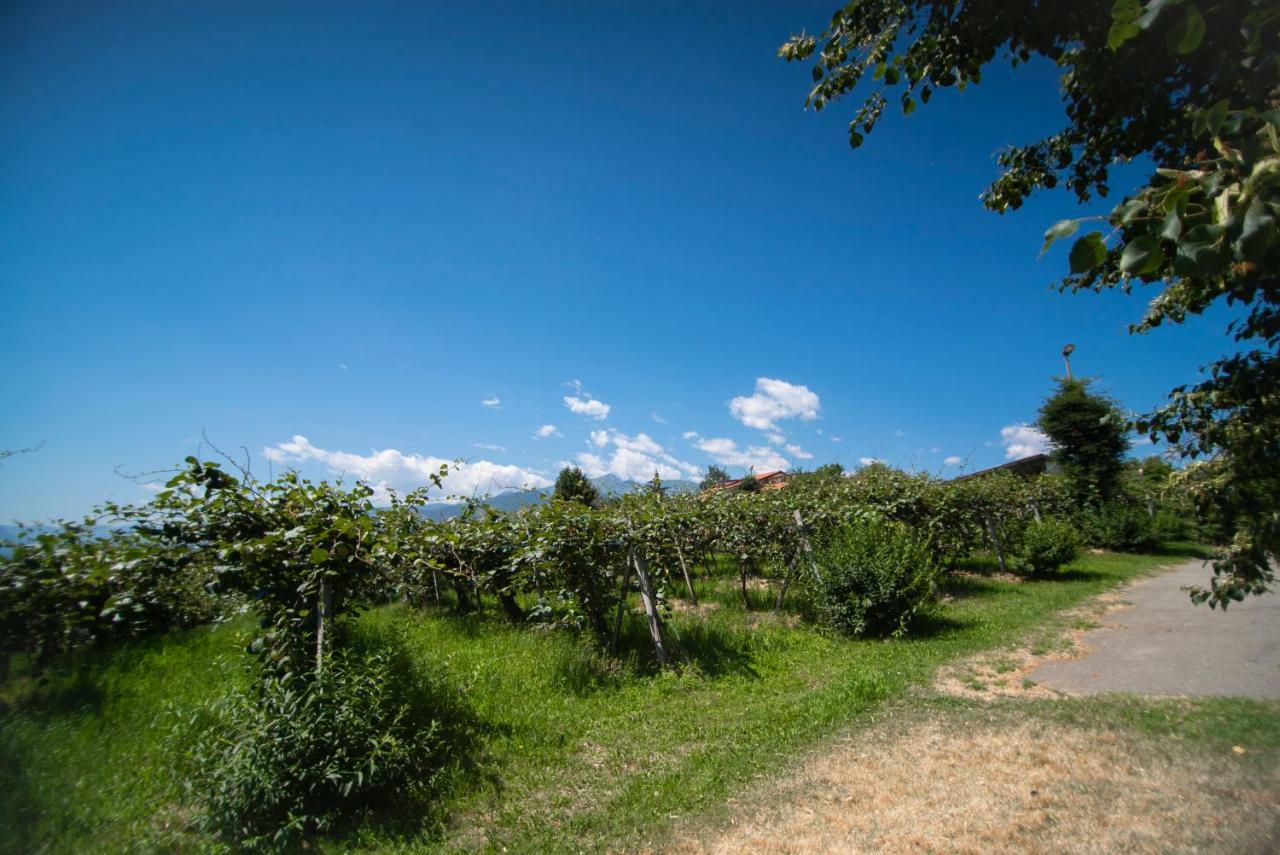 Agriturismo Turina Bricherasio Eksteriør bilde
